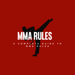 Rules martial arts