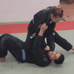 Popular martial arts styles