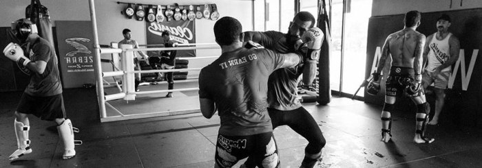 Martial arts and mental discipline