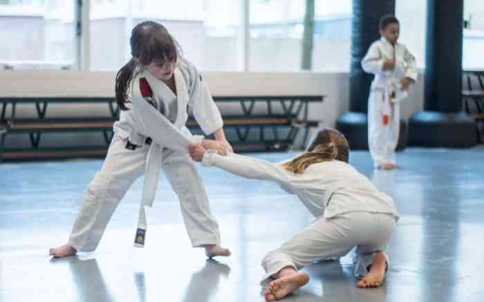Martial arts and mental discipline