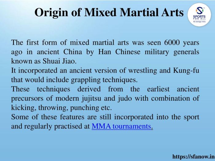 History of martial arts