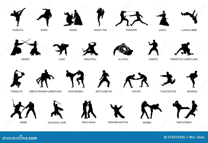 Popular martial arts styles